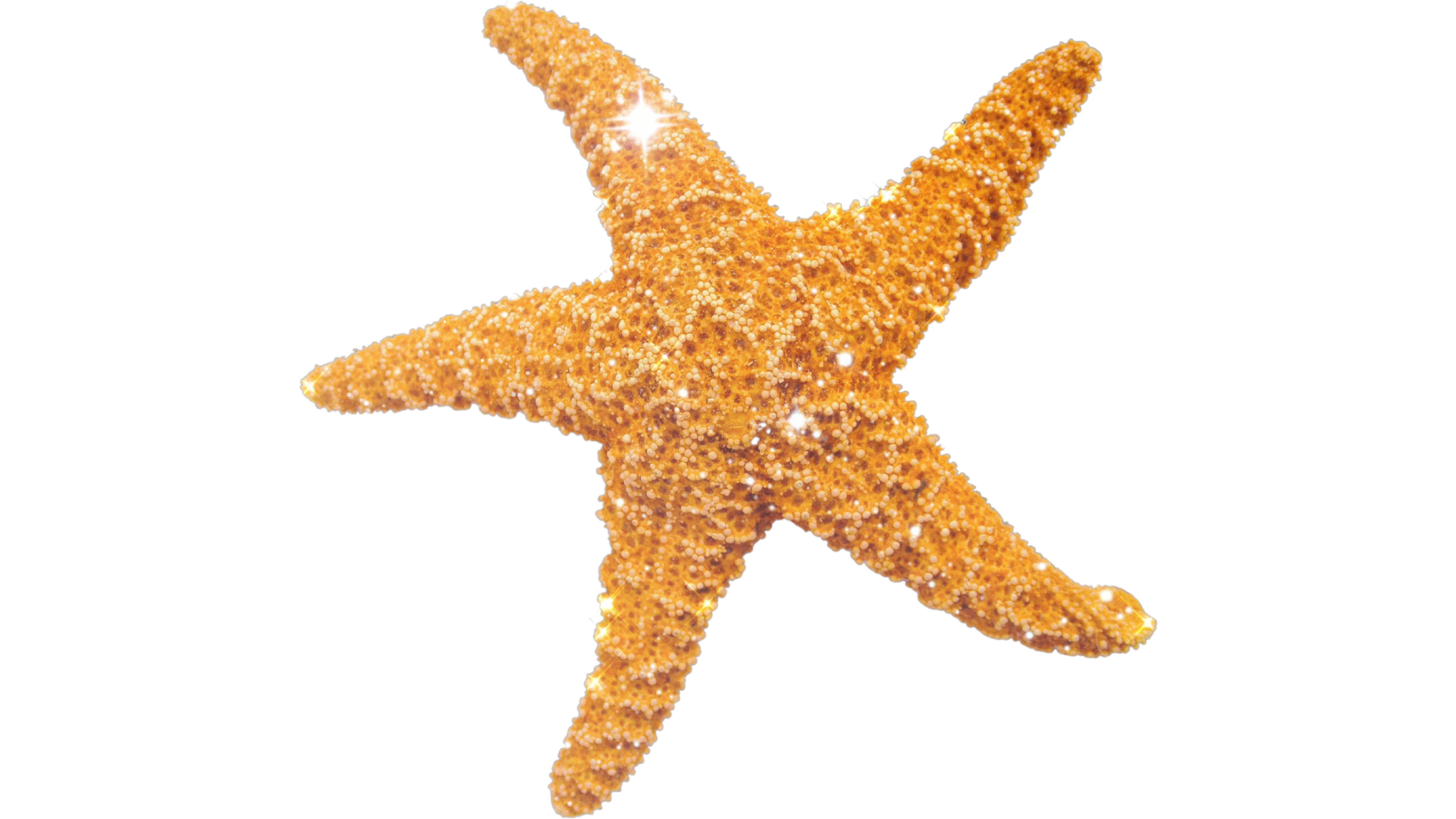 Estrella